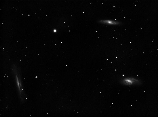 Leo triplet (M65, M66, NGC3628)