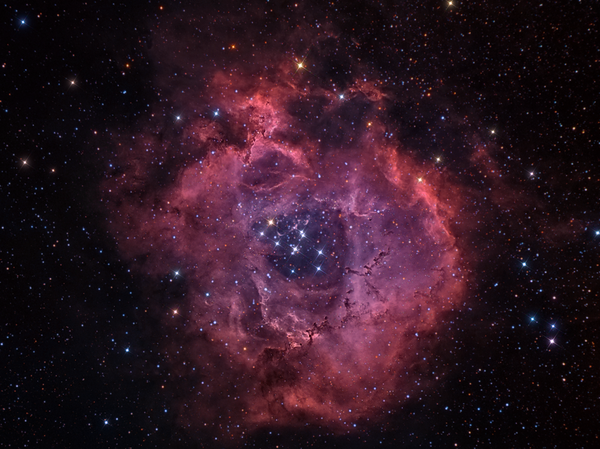 The Rosette Nebula & Ngc 2244 (haoiiirgb)