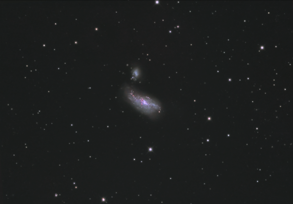 Ngc 4490 "cocoon Galaxy."