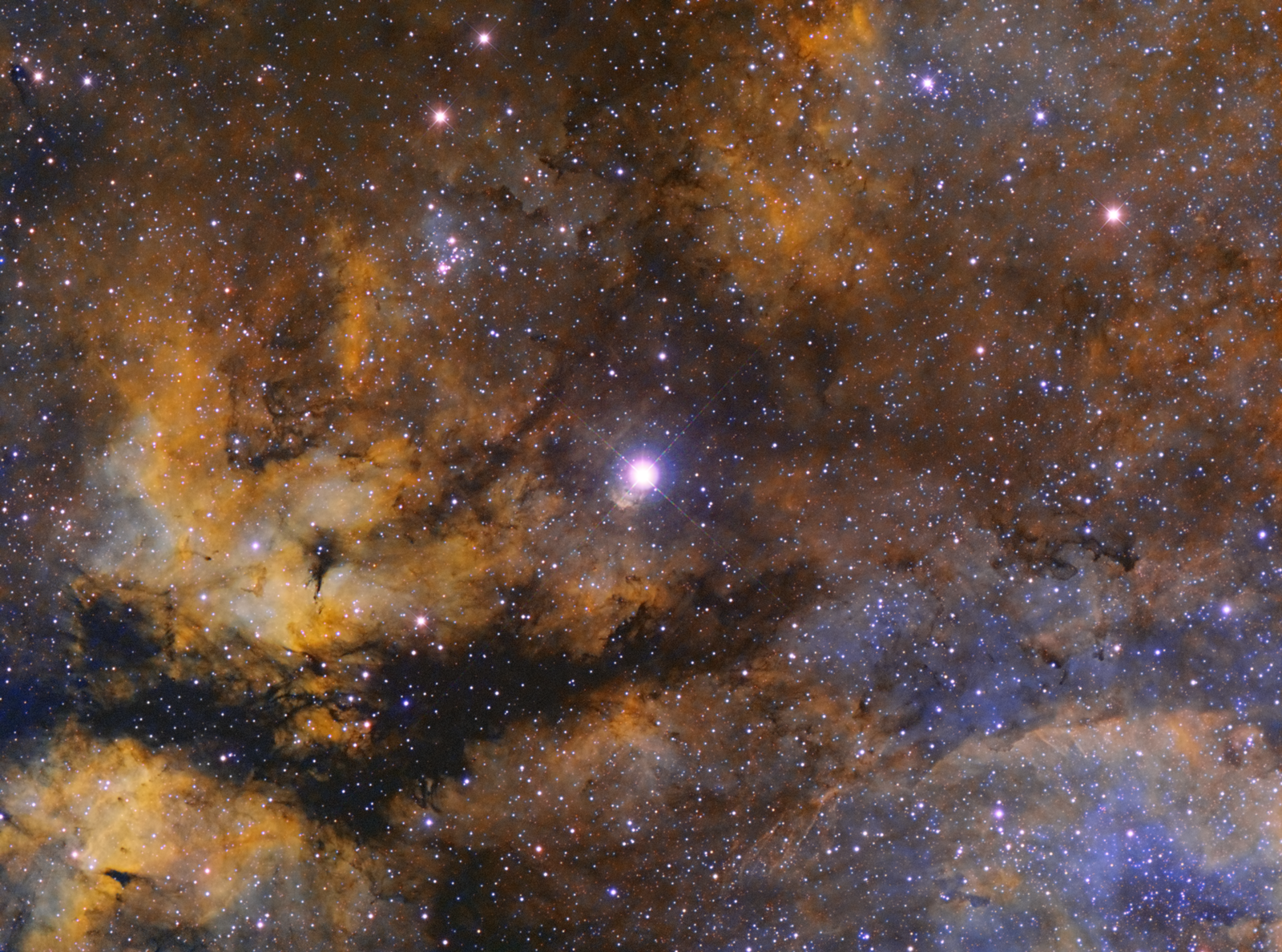 Ic1318 - Sadr Nebula (hubble Palette)