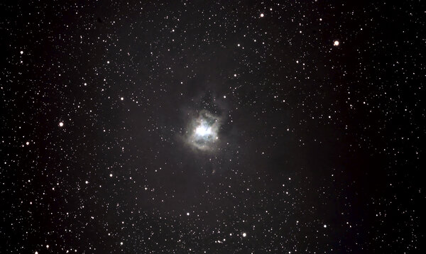 Iris Nebula  In The Constellation Cepheus. Ngc 7023
