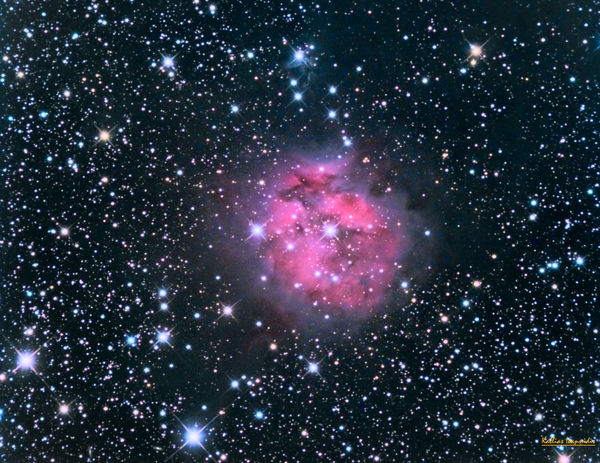 Περισσότερες πληροφορίες για το "Ic 5146 Cocoon Nebula"