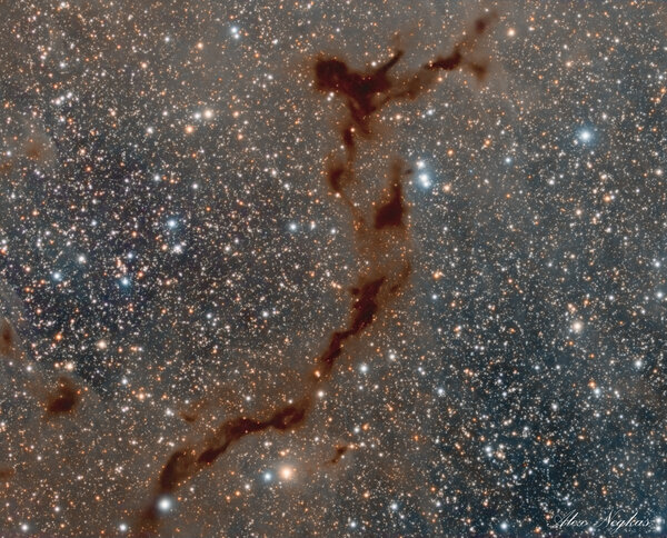 Barnard 150 (seahorse Nebula)