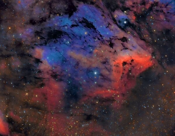 Ic 5070 - Pelican Nebula in Rgb (biocolor)