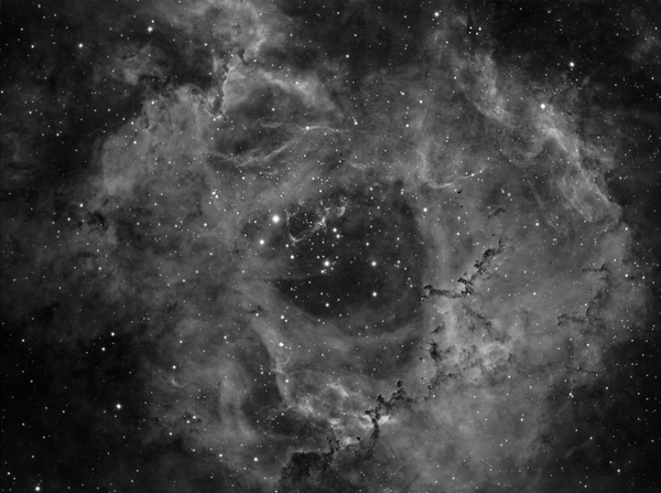 Ngc 2238 Rosette Nebula