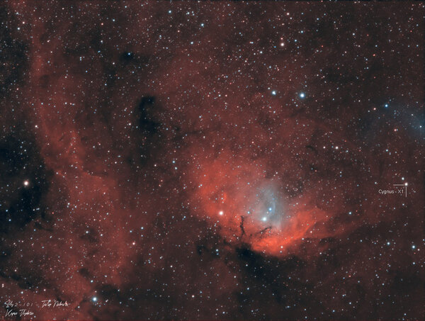 Sh2-101 (tulip Nebula)