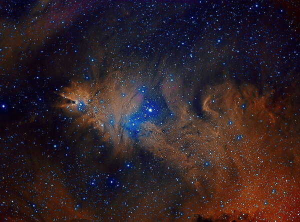 Ngc 2264 Cone Nebula Fox Fur