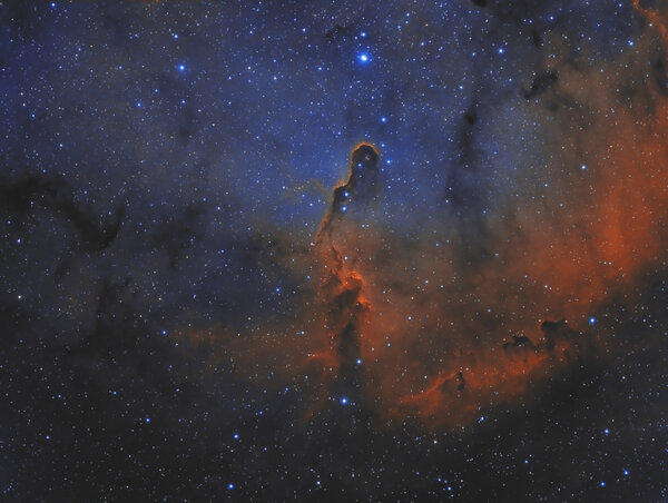 Ic 1396 Elephant Trunk Nebula In Cepheus