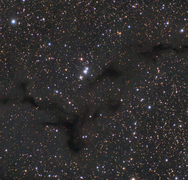 Barnard 150 (seahorse Nebula , Ldn 1082)