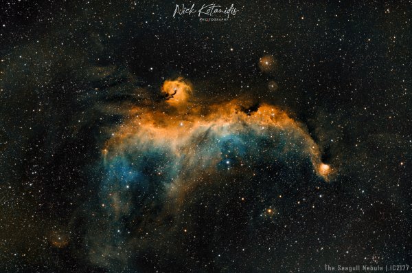 IC 2177  | The Seagull Nebula