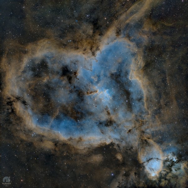 Heart nebula SHO