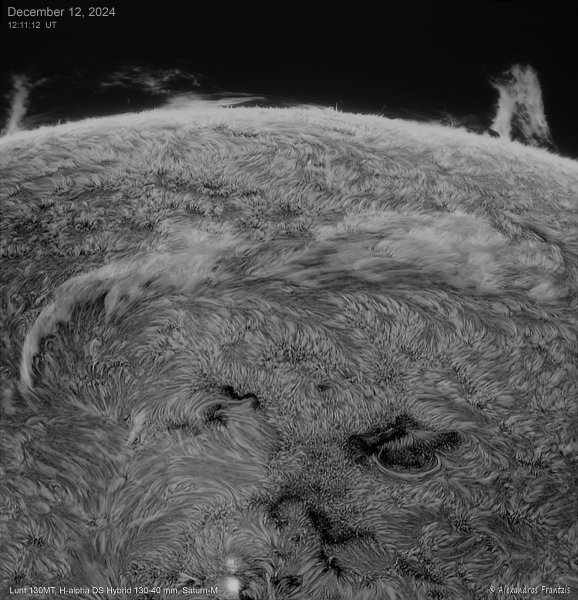 2024-12-12, West solar limb, Lunt 130MT, H-alpha DS Hybrid 130-40 mm, Saturn-M, 12_11_12 UT inverted.jpg